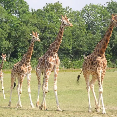 Le Loft Appartement Honfleur